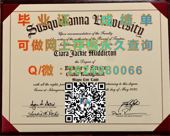 萨斯奎哈纳大学（赛林色格罗夫）Susquehanna University (Selinsgrove).jpg