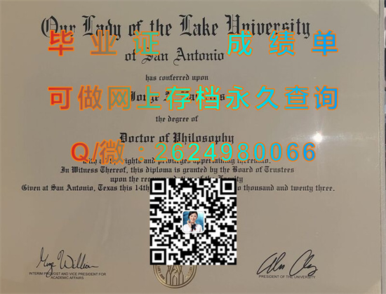 圣母湖大学(圣安东尼奥)Our Lady of the Lake University (San Antonio).jpg