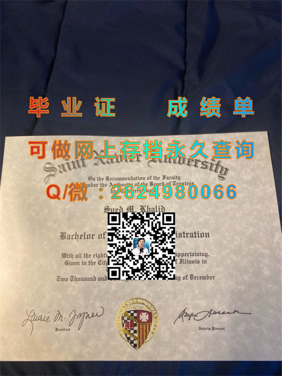 圣泽维尔大学(芝加哥)Saint Xavier University (Chicago).jpg