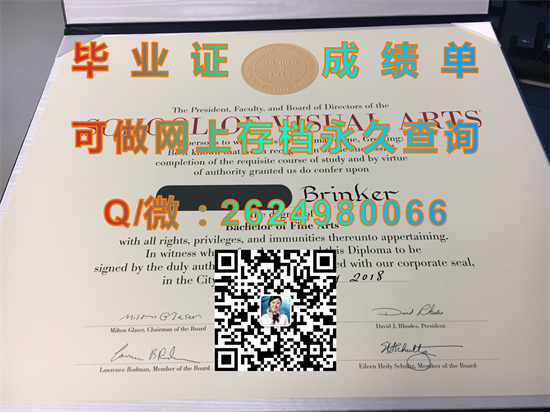 视觉艺术学校(纽约)School of Visual Arts (New York).jpg