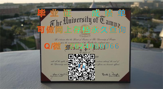 坦帕大学(坦帕)The University of Tampa (Tampa).jpg