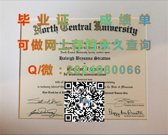 中北学院(纳珀维尔)North Central College (Naperville).jpg