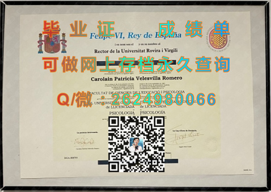 罗维拉·依维尔基里大学毕业证文凭.jpg
