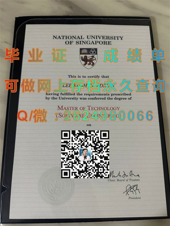 新加坡国立大学文凭样本National University of Singapore.jpg