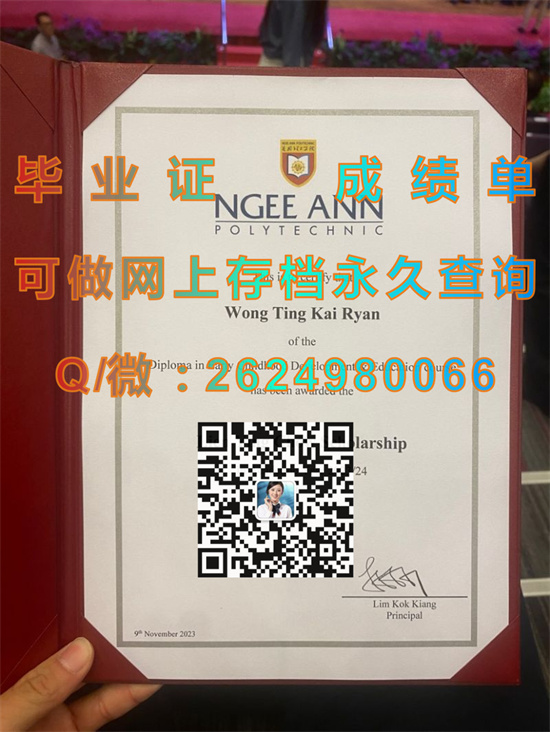 义安理工学院文凭样本Ngee An Polytechnic.jpg