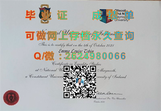 爱尔兰国立梅努斯大学.jpg