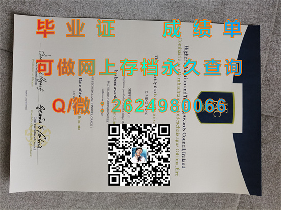 都柏林格里菲斯学院.jpg
