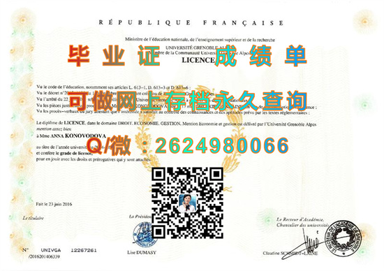 格勒诺布尔-阿尔卑斯大学.jpg