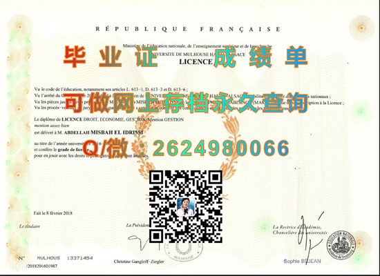 上阿尔萨斯大学.jpg