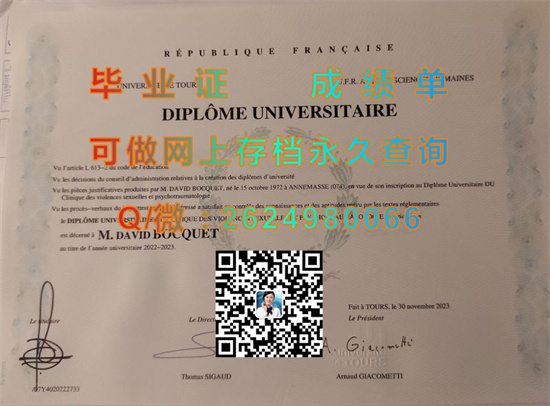 图尔大学.jpg