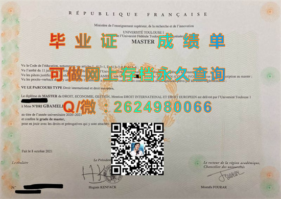 图卢兹第一大学.jpg