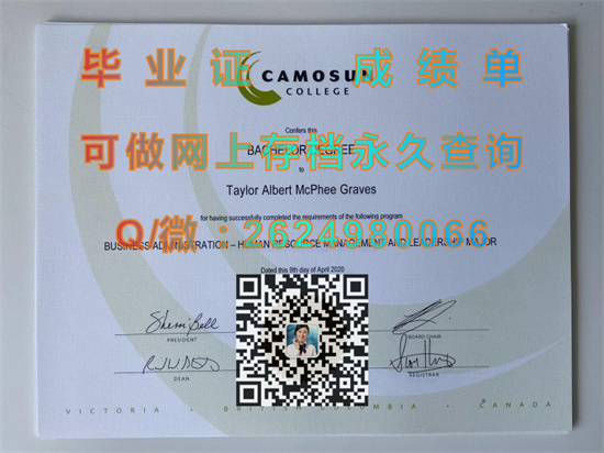 卡莫森学院.jpg