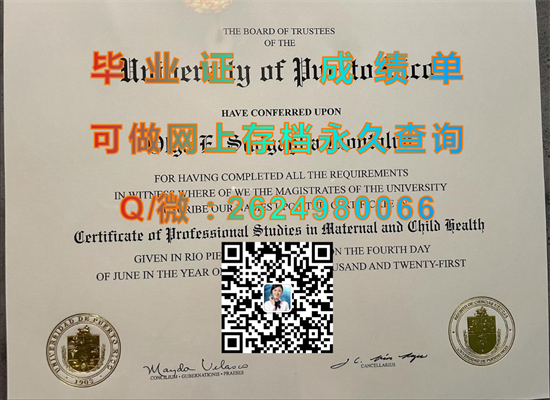 波多黎各大学.png