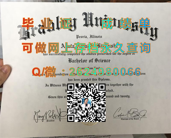 布拉德利大学(皮奥利亚)Bradley University (Peoria).jpg