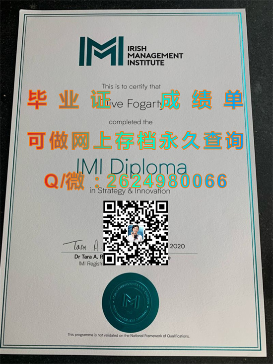 爱尔兰管理学院.jpg