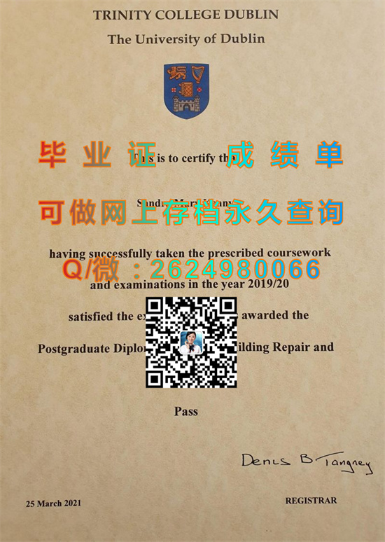 都柏林圣三一大学.jpg