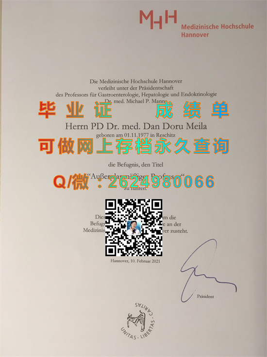 汉诺威医学院.jpg
