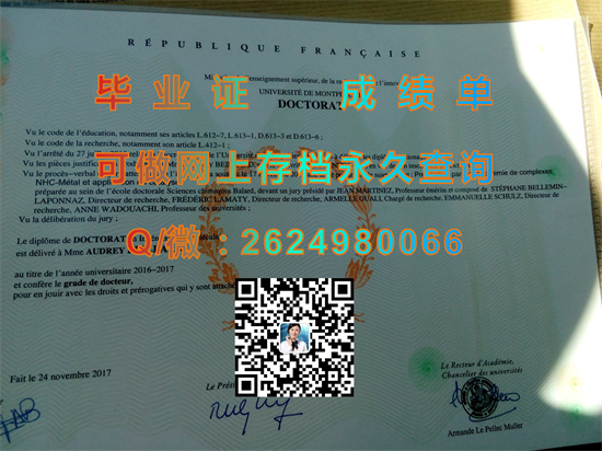 蒙波利埃第一大学.jpg