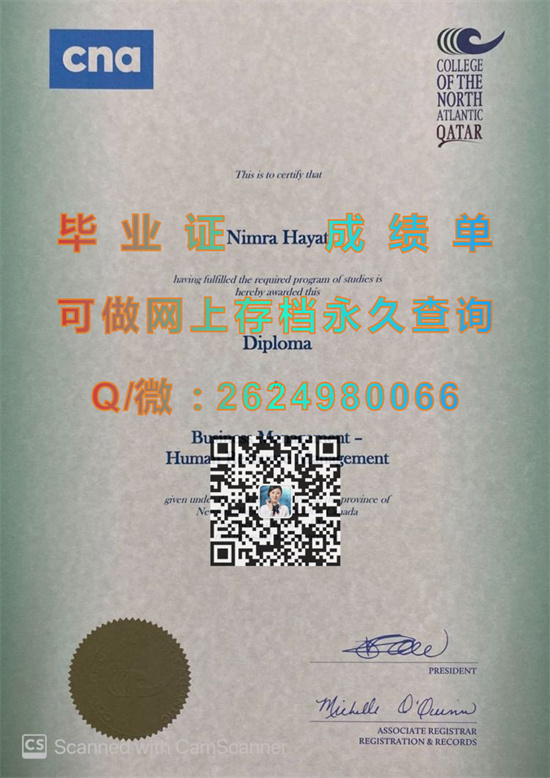 北大西洋学院.jpg