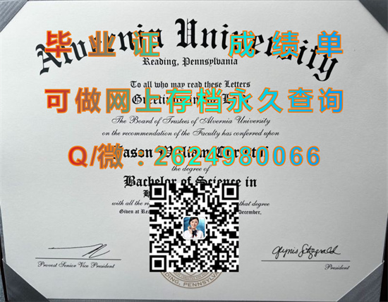 阿尔弗尼亚大学（雷丁）Alvernia University (Reading).jpg