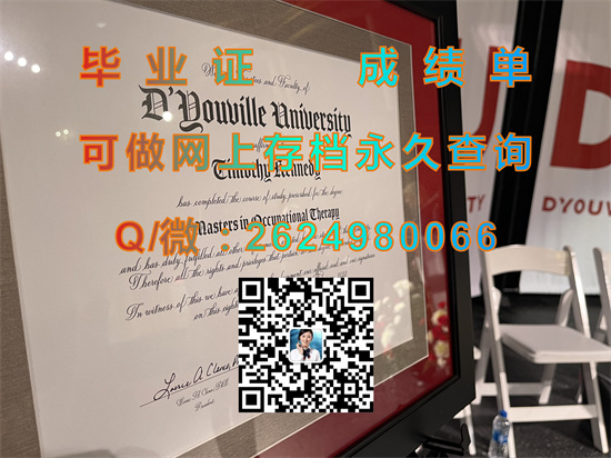 迪由维尔学院(布法罗)D`Youville College (Buffalo).jpg
