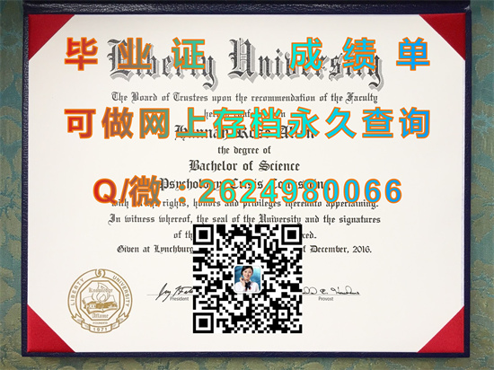 利伯缇大学(林奇堡)Liberty University (Lynchburg).jpg