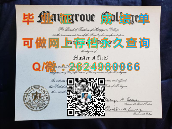 马里格鲁夫学院(底特律)Marygrove College (Detroit).jpg
