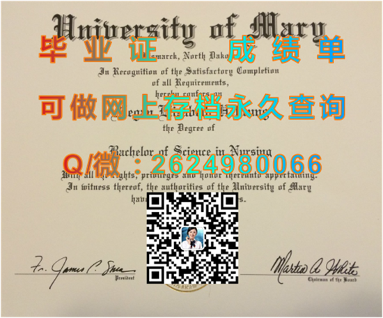玛丽大学(俾斯麦)University of Mary (Bismarck).png