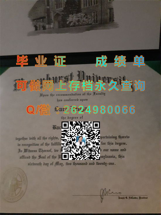 梅西赫斯特大学Mercyhurst University.jpg