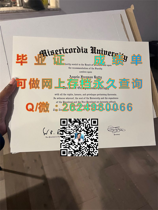 弥瑟里科迪亚大学（达拉斯）Misericordia University (Dallas).jpg