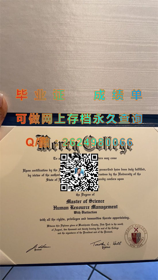 默西学院(杜波斯费里)Mercy College (Dobbs Ferry).jpg