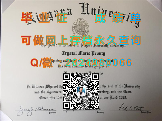 尼亚加拉大学Niagara University (Niagara University).jpg