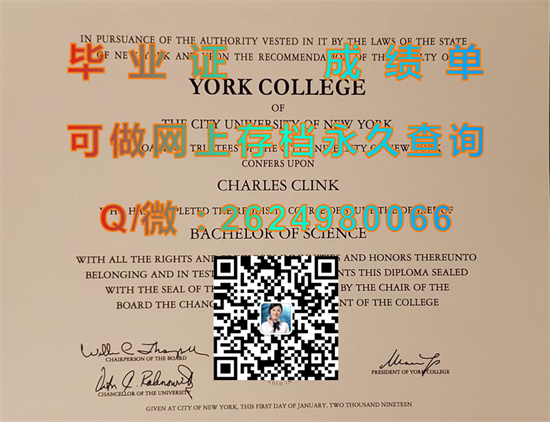 纽约城市大学约克学院(牙买加)CUNY - York College (Jamaica).jpg