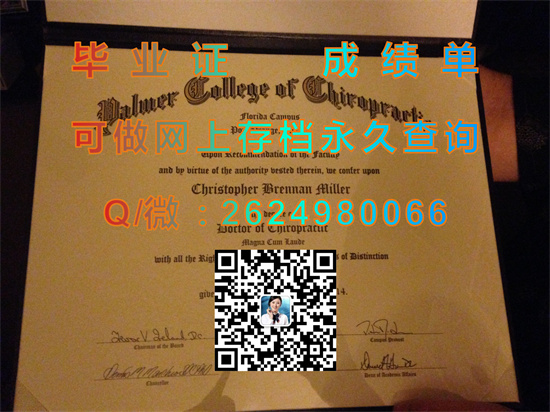 帕尔默脊椎指压疗法学院 (达文波特)Palmer College of Chiropractic (Davenport).jpg