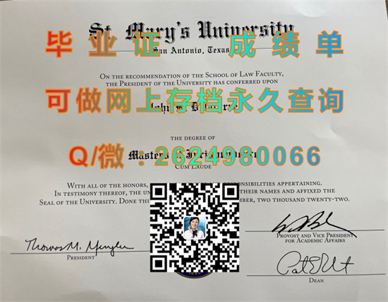 圣玛丽大学(圣安东尼奥)Saint Mary's University (San Antonio).jpg