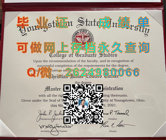 斯敦州立大学(扬斯敦)Youngstown State University (Youngstown).jpg