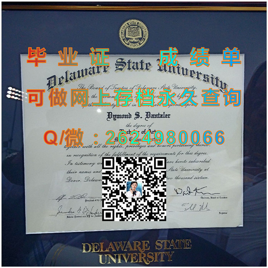 特拉华州立大学（多佛）Delaware State University (Dover).jpg