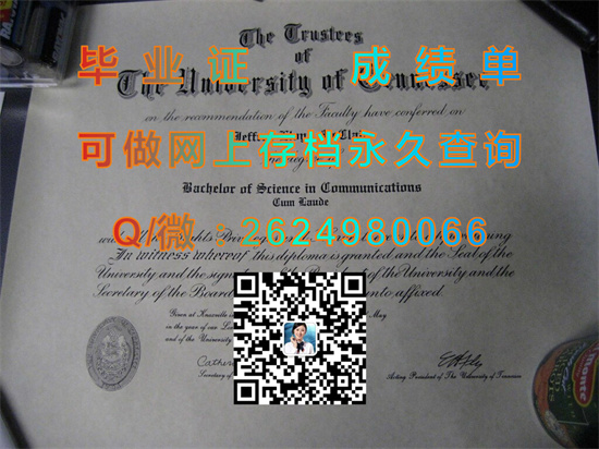 田纳西大学诺克斯维尔分校(诺克斯维尔)University of Tennessee-Knoxville (2).jpg