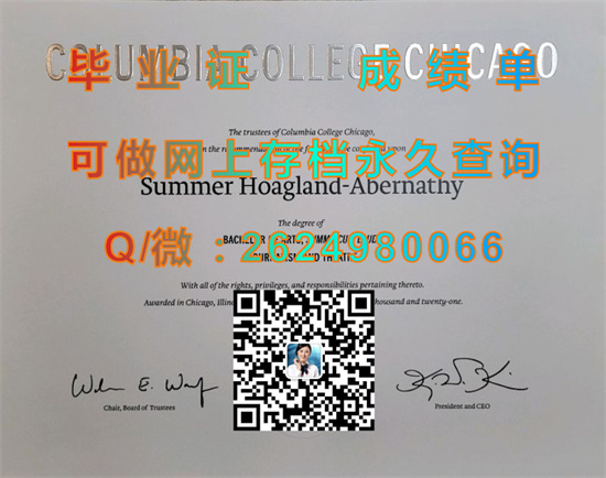 芝加哥哥伦比亚学院(芝加哥)Columbia College Chicago (Chicago).jpg