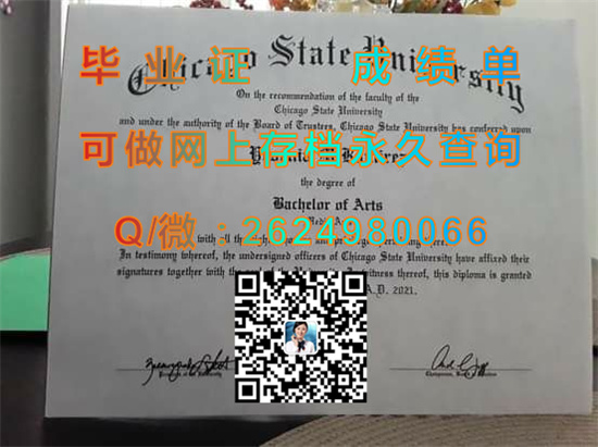 芝加哥州立大学（芝加哥）Chicago State University (Chicago).jpg