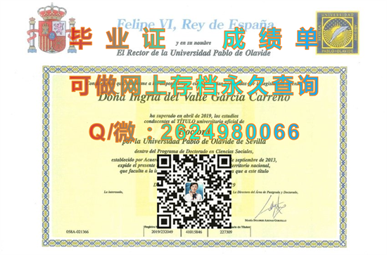 巴勃罗·德·奥拉维德大学.png