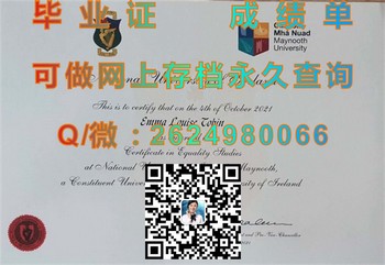 爱尔兰国立梅努斯大学毕业证模版、文凭参考、学位证、成绩单图片.jpg