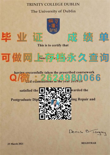 都柏林大学毕业证圣三一学院毕业证模版、文凭参考、学位证、成绩单图片.jpg