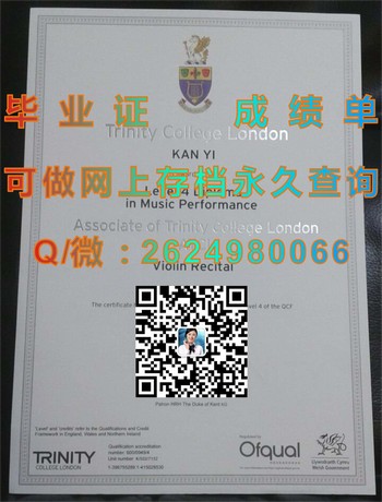 掌握技巧：如何让爱尔兰伦敦圣三一学院毕业证成为职业发展的催化剂）