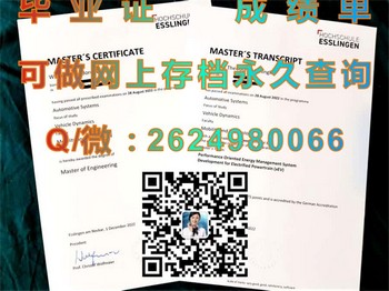 埃斯林根应用技术大学毕业证模版、文凭参考、学位证、成绩单图片.jpg
