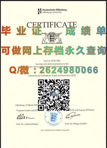 德国奥芬堡大学毕业证的未来价值：关键时刻必备利器）