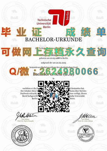 窥探德国柏林工业大学文凭的卓越教学法）