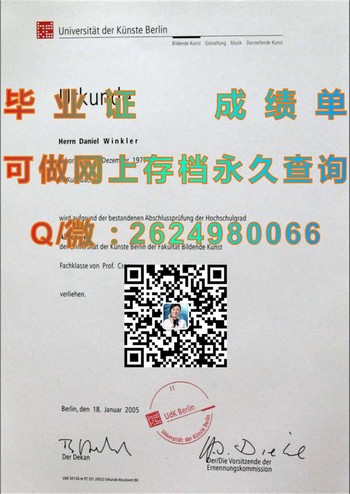 德国柏林艺术大学文凭指南：揭秘艺术殿堂的入场密码）