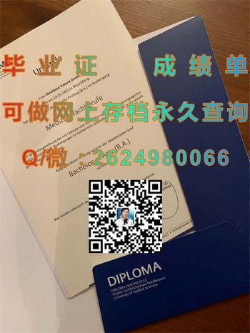 北豪森应用技术大学文凭申请攻略：征服艺术殿堂的秘诀）