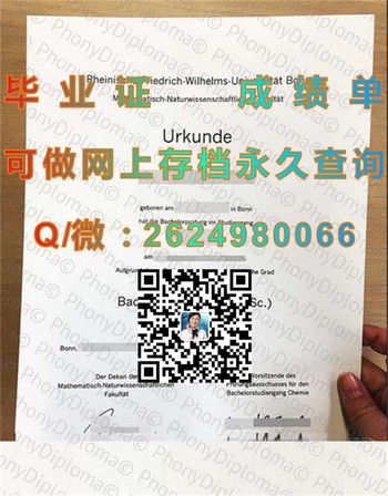 德国波恩大学文凭专业选择指南：定制艺术之路）